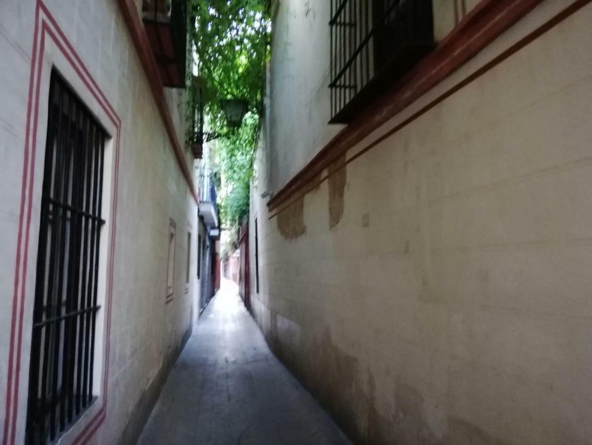 Apartamento En La Juderia De Sevilla Exteriér fotografie
